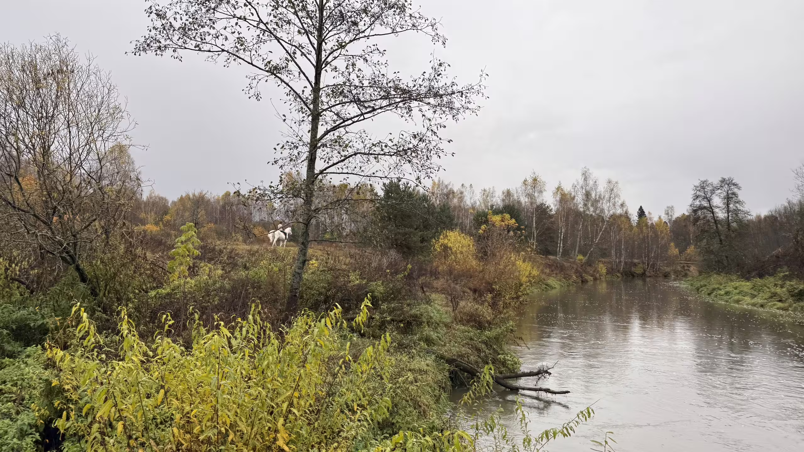 Река Воря, МО.